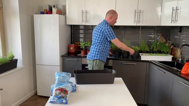 Как посадить пряные травы на подоконник смотреть онлайн