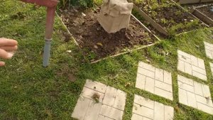 Видео привет про виноград.. тот ещё спец