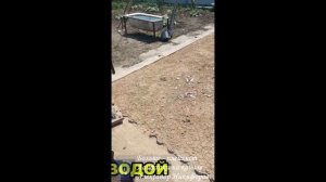 Лайфхак. ШЛЁПнога НАФИГ НЕ нужна