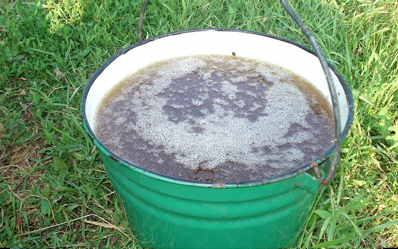 Как быстро избавиться от колорадского жука За 3 минуты!... смотреть онлайн