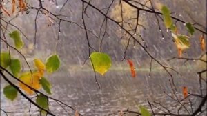 А.Дольский - Воспоминание о школе