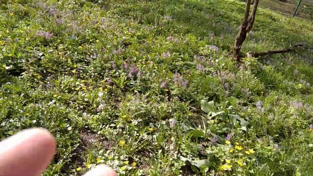 водная медитация прошла успешно и прогноз сбывается... смотреть онлайн