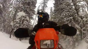 130111 Rabbit EarsTimbersled Snow Bike Toby Till Fender view