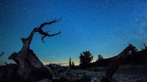 Angelo Badalamenti and Tim Booth - Dance of the bad angels