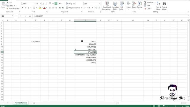 How to use Format Painter in Excel | Excel for beginners | Microsoft excel tutorial 2021 Sinhala
