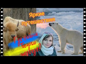 Новый замок таит в себе ...новых жителей #вмиреживотных.mp4