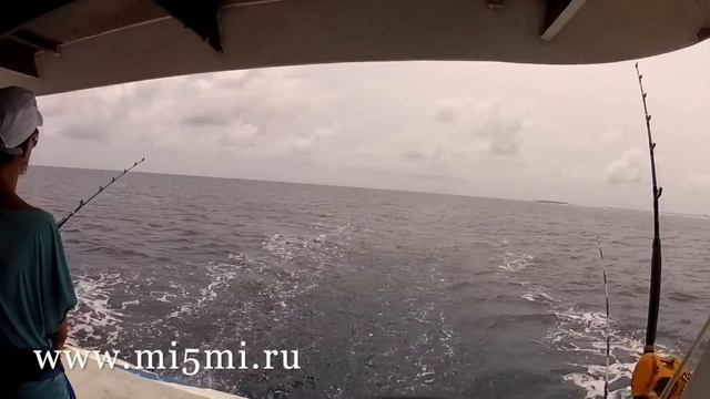 Рыбалка на Мальдивах - ловим Парусника! смотреть онлайн