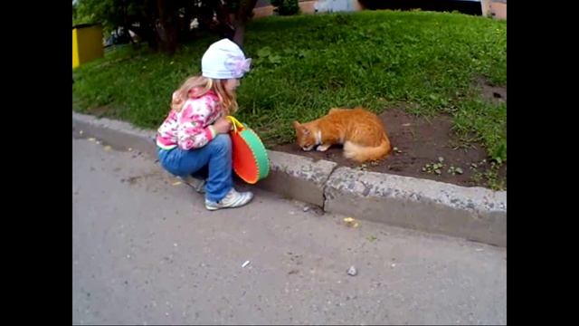 VLOG / УЛИЧНЫЙ КОТЁНОК / КРАСИВЫЙ, РЫЖИЙ И ПУШИСТЫЙ / ДЕТСКИЙ ВЛОГ / ВИДЕО ДЛЯ ДЕТЕЙ смотреть онлайн