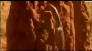 Какаду (национальный парк)