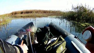 Кружки или спининг.Рыбалка на щуку.Шапсугское водохранилище.