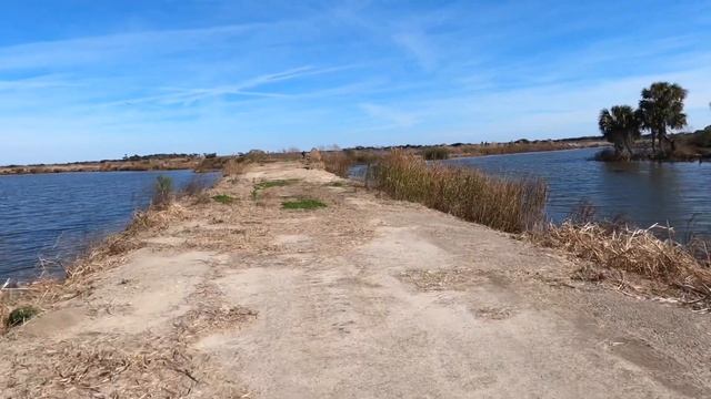 ОПАСНОСТИ ЮЖНОЙ КАРОЛИНЫ ? Alligators of Bulls Island ? Остров с Тысячей Аллигаторов смотреть онлайн