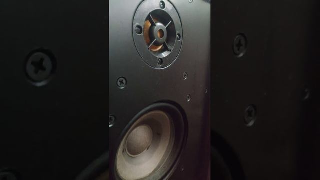 Радиотехника 35 АС-201(S90) Radiotehnika 35 AC-201 смотреть онлайн