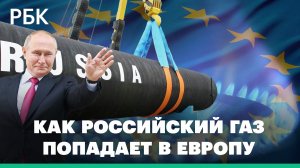 Как и сколько российского газа попадает в Европу: основные пути и объемы