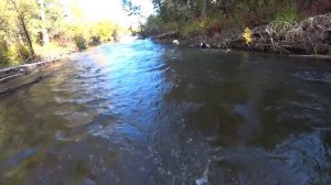 Рыбалка на Хариуса!Второй день рыбалки!Рыбалка на поплавочную снасть!Уловистые мушки на Хариуса!202