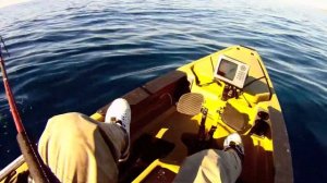 Sea Samurai- Railing Yellowtail on a Kayak