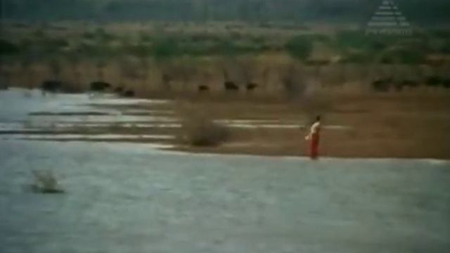 Naan Erikarai - Vignesh, Padmashri - Chinna Thayee - Tamil Classic song смотреть онлайн