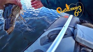 Щука в браконьерских сетях, Рыбалка на спиннинг перед запретом