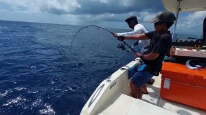 yellowfin tuna popping in Maldives