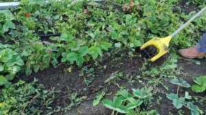 Культиватор ручной ротационный "Гардения"
