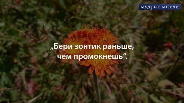 Японские пословицы | Японские крылатые выражения | Японская мудрость