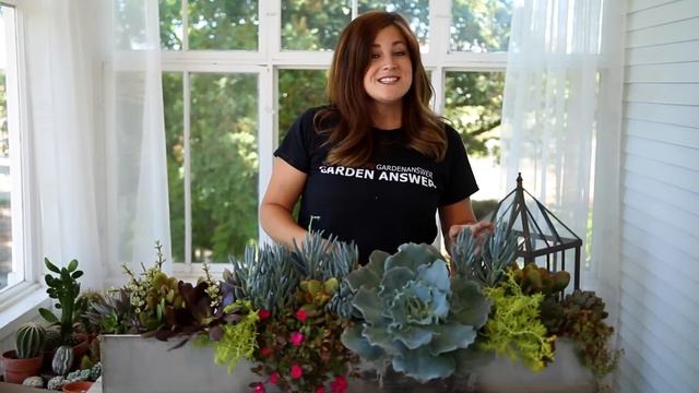 Decorate Your Outdoor Space with Succulents! смотреть онлайн