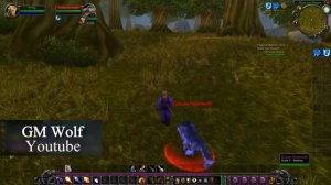 Suche nach den vermissten Wachen | Find the Lost Guards | WoW Classic