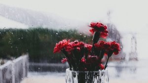 Психотрюки 69 - Игорь Рызов | Глава 2 | Психология |  (аудиокнига)