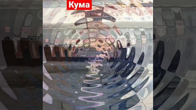 Сектор газа.Кума.#сектор_газа#секторгаза#юрийклинских#юрахой#хойжив#колхозныйпанк#хойя#хой