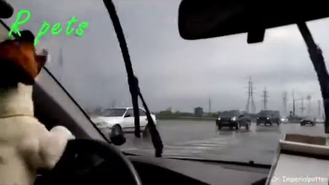 Сергей Минаев 84 Алушта  N 1