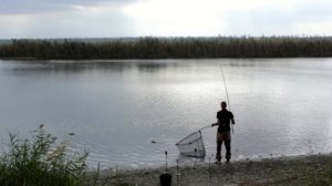 Ловля карпа Осенью! Рыбалка Тут Клюет!