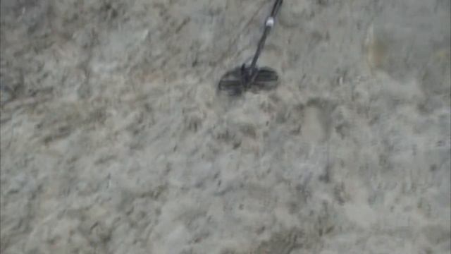 Фортуна М 3 ПЛЯЖНЫЙ ПОИСК СО СКУПОМ. тест 2 . № 39 смотреть онлайн