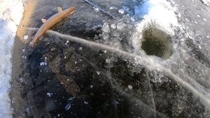 Рыбалка. Мега ЩУКА с Глубины 5 метров! Зимняя рыбалка на ЩУКУ!