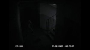 неопознаное существо в подъездах Питера!