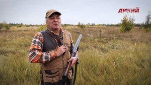 Охота с пойнтером на перепела и куропатку. Собака на охоте.