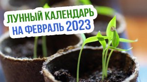 Лунный календарь садовода на февраль 2023 с Евгением Силягиным. Благоприятные дни для посевов