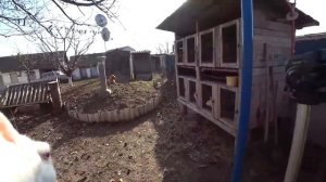 Стимулятор охоты для кроликов