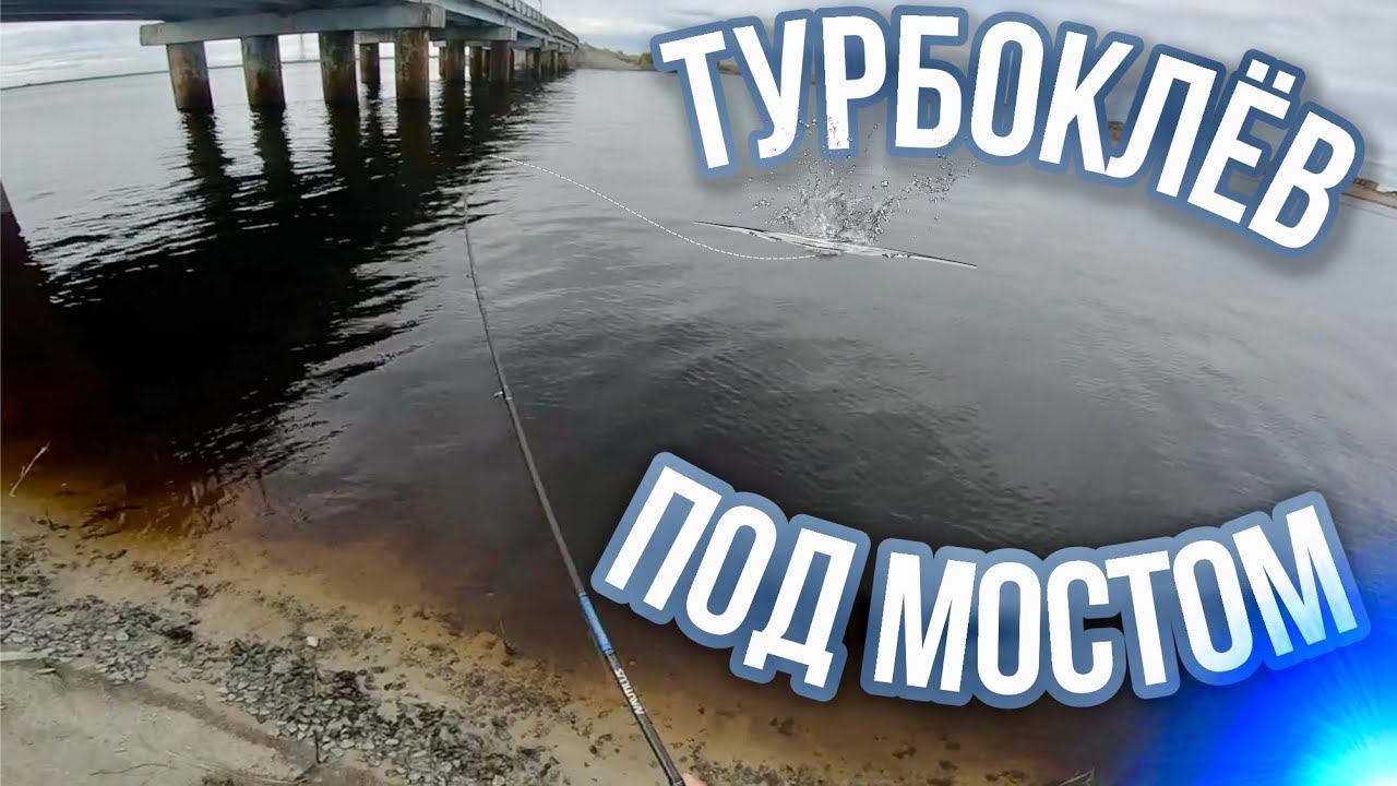 ТУРБО КЛЁВ ПОД МОСТОМ!  ОКУНИ И ЩУЧКИ НА ЛАЙТЕ!