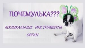 ПОЧЕМУЛЬКА. МУЗЫКАЛЬНЫЕ ИНСТРУМЕНТЫ ОРГАН. СТИХИ ДЛЯ МАЛЫШЕЙ.