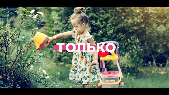 Полесье. Яркий мир игрушек!