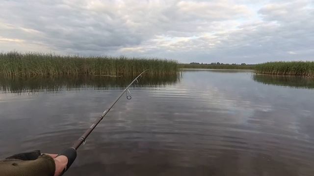 Рыбалка с лодки.Ловля щуки окуня на Mepps Aglia. Жабовник.