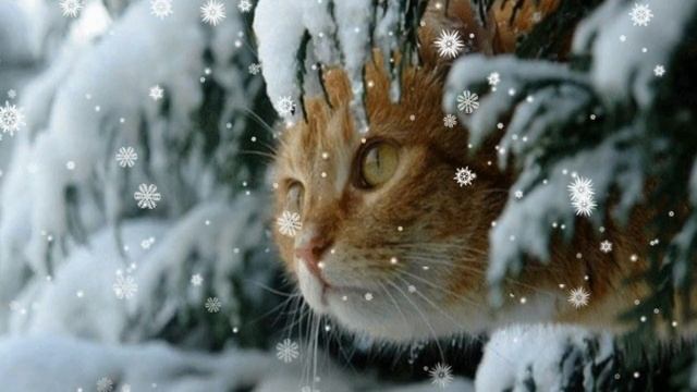 ЗИМА Олеся Куликова смотреть онлайн