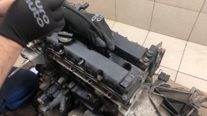Двигатель Ford для Focus II 2005-2008