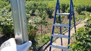 Шпалера для малины, винограда от завода Гефест.