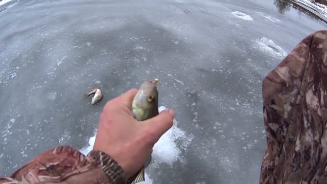 Ловля окуня, зимняя рыбалка 2016 смотреть онлайн