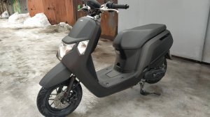 В Москву и обратно