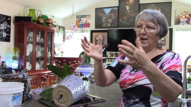 One of my oldest Phalaenopsis Orchids Re Pot смотреть онлайн