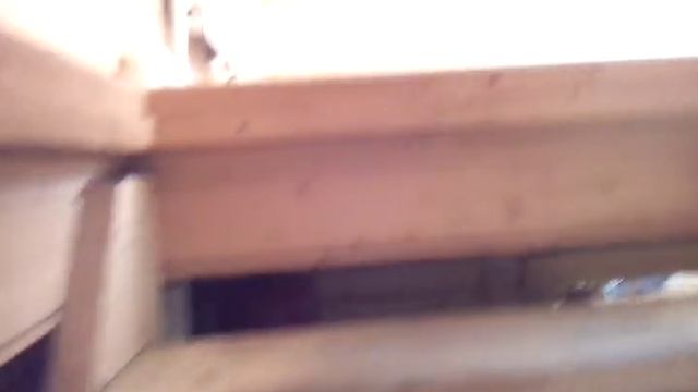 01. Саратов строительство под ключ - Дачный дом с крыльцом клееный брус Уют 6,0х4,0м смотреть онлайн