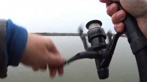 Рыбхоз "Раково". Рыбалка на донку. Карпы в сентябре на платном пруду. Путёвка 2200р.