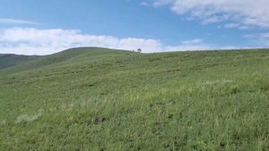 гора Туран Красно Туранский рн Красноярский край.