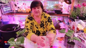 5 проверенных способов ускорить прорастание семян огурца. Посадка огурцов.